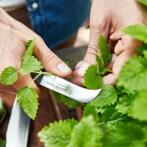Wüsthof Gemüsemesser Urban Farmer 9