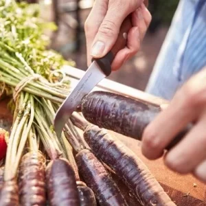 Wüsthof Gemüsemesser Urban Farmer 11