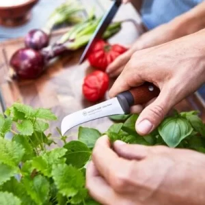 Wüsthof Gemüsemesser Urban Farmer 15