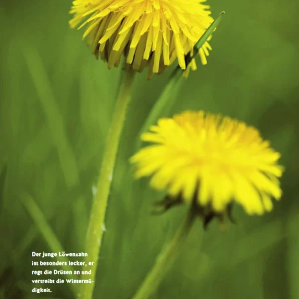 GU – Mein Gartenkalender 2022 6