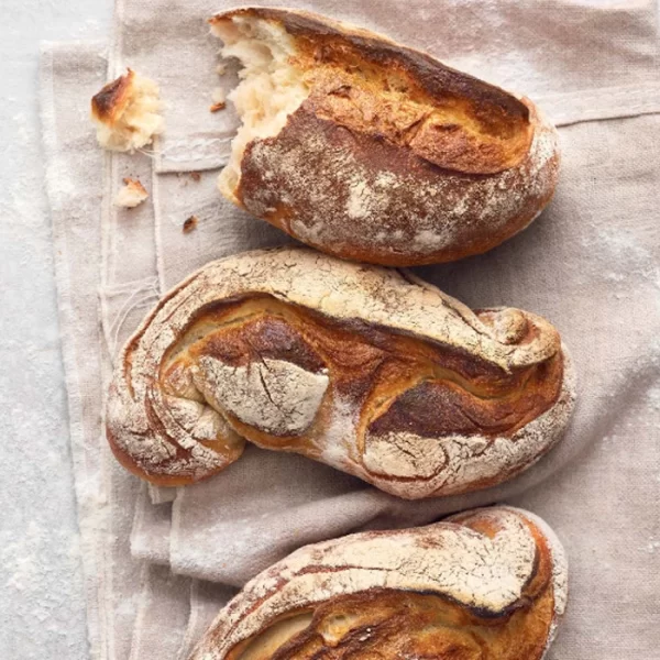GU – So Einfach Geht Sauerteig 5